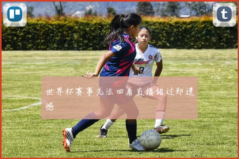 世界杯赛事无法回看直播错过即遗憾