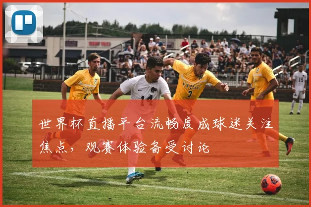 世界杯直播平台流畅度成球迷关注焦点,观赛体验备受讨论
