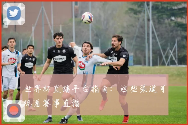 世界杯直播平台指南:这些渠道可观看赛事直播