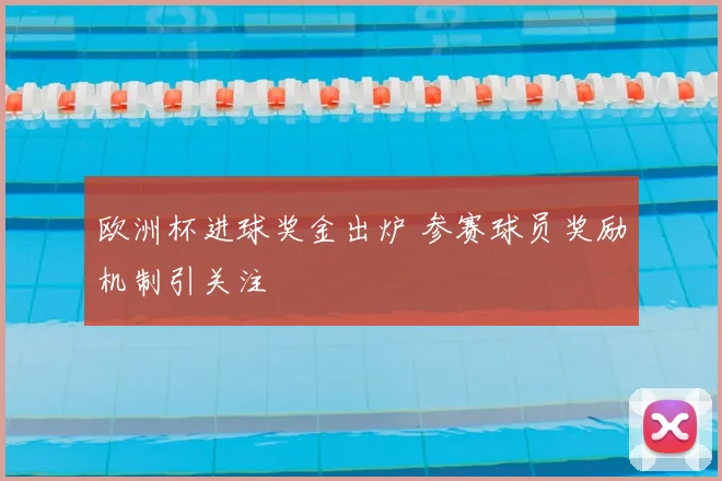 欧洲杯进球奖金出炉 参赛球员奖励机制引关注
