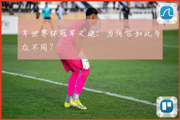 年世界杯冠军之谜:为何它如此与众不同?