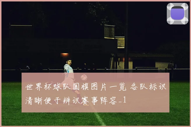 世界杯球队国旗图片一览 各队标识清晰便于辨识赛事阵容_1