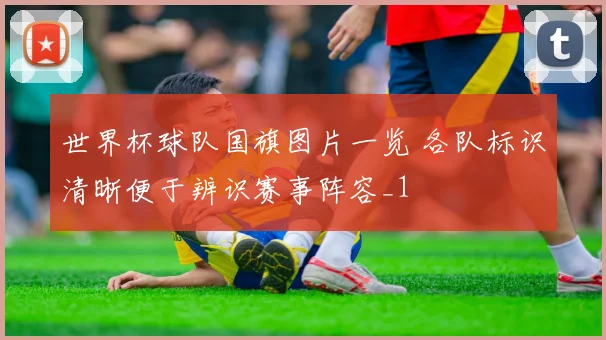 世界杯球队国旗图片一览 各队标识清晰便于辨识赛事阵容_1
