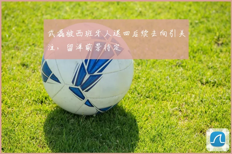 武磊被西班牙人退回后续去向引关注，留洋前景待定