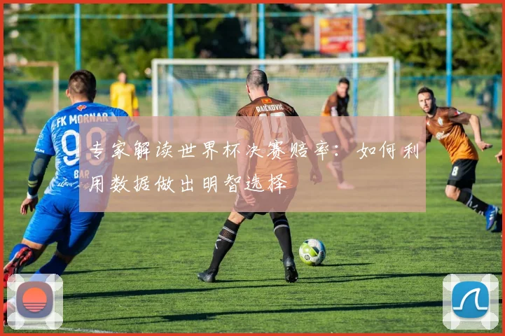 专家解读世界杯决赛赔率：如何利用数据做出明智选择