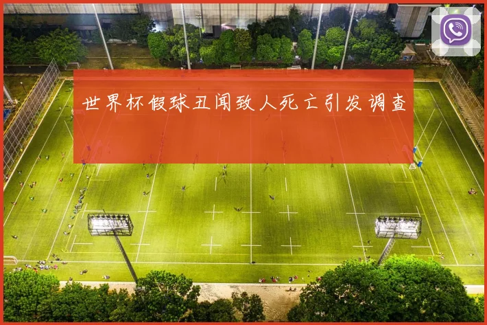 世界杯假球丑闻致人死亡引发调查
