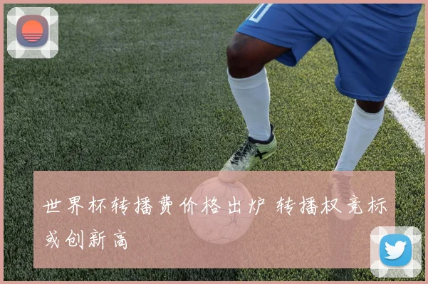 世界杯转播费价格出炉 转播权竞标或创新高