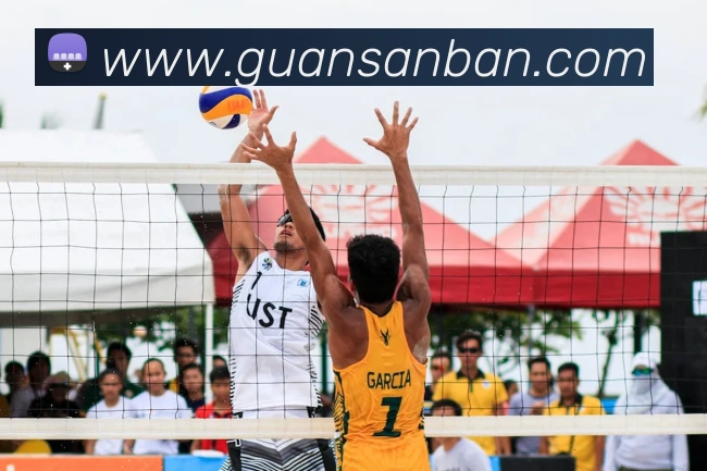 emc易倍官方旗舰店平台生态图